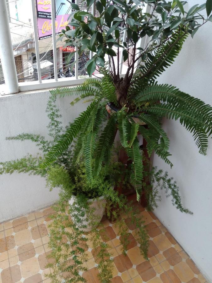 Da Lat 24H Guesthouse & Hotel Экстерьер фото